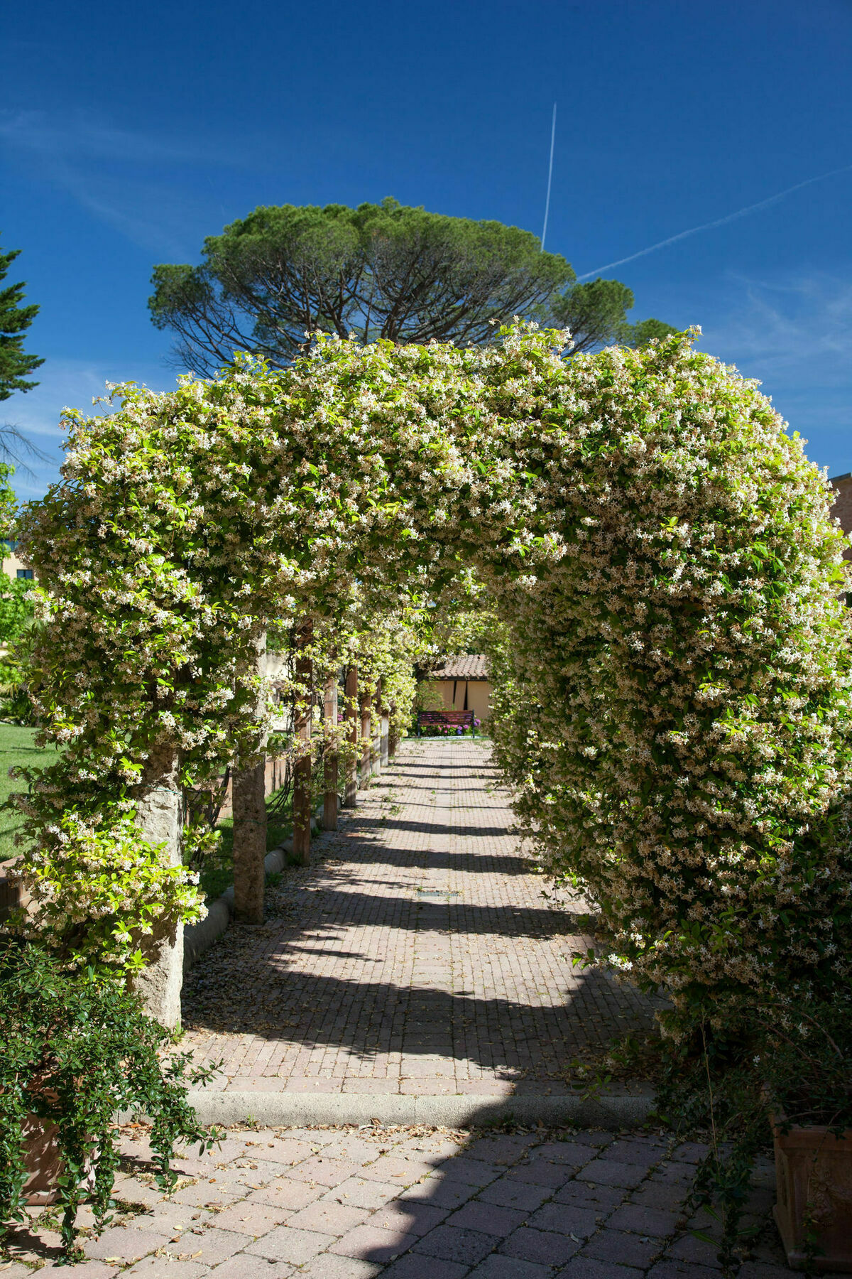 Villa Borri Casciana Terme Luaran gambar